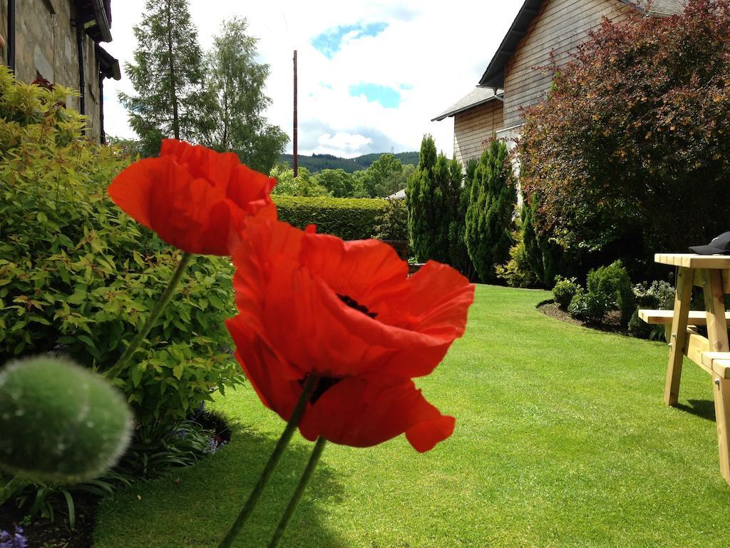 Buttonboss Lodge B&B Pitlochry Exterior foto